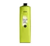 LOREAL PROFESSIONNEL iNOA AKTYWATOR DO FARB 20 VOL 6% 1000ML