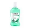 DENTICA DENTAL PROTECTION PŁYN DO HIGIENY JAMY USTNEJ MINT FRESH 500ML