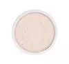 KRYOLAN ANTI SHINE PUDER RYŻOWY MATUJĄCY LIGHT 10G