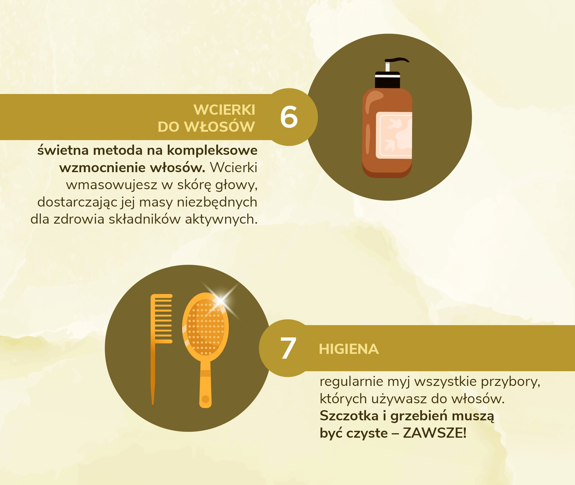 Skóra głowy - infografika