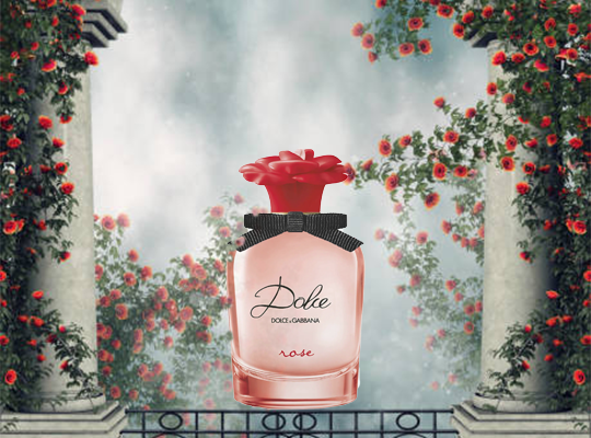 Dolce & Gabbana Dolce Rose