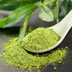 Schauma Fresh Matcha Shampoo
