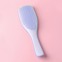 Tangle Teezer On the go Detangling Hairbrush