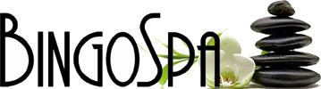 logo bingospa