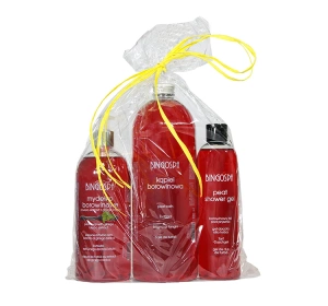 BingoSpa zestaw borowinowych kosmetyków żel pod prysznic 300 ml + kąpiel borowinowa 1000 ml + mydełko borowinowe 500 ml