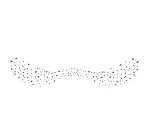 Deni Carte naklejki piegi Brokatowe