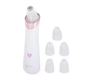 ODKURZACZ DO WĄGRÓW Z 5 WYMIENNYMI KOŃCÓWKAMI 2 FILTRY