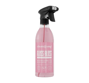 Cleangang Gloss Bloss płyn do czyszczenia szyb i luster Blossom Sky 500 ml