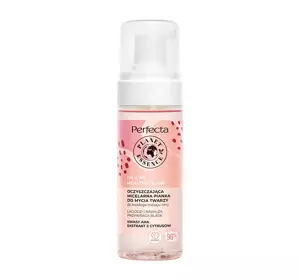 PERFECTA PLANET ESSENCE ME & MY HEALTHY GLOW OCZYSZCZAJĄCA MICELARNA PIANKA DO MYCIA TWARZY 160ML