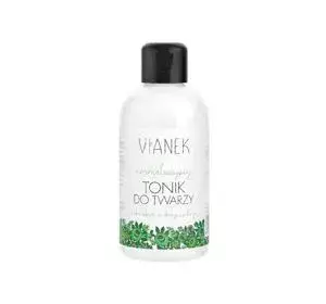 VIANEK NORMALIZUJĄCY TONIK DO TWARZY 150ML